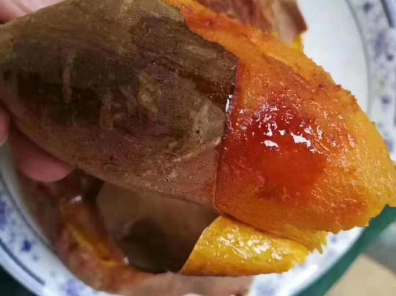 山东烟薯25大量出售，红皮红心超软甜糯可视频看货