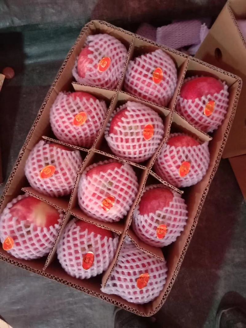 【推荐】通货，商品，大量红富士，量大从优可长期合作