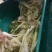 玉米秸秆揉丝机羊饲料揉丝机干湿两用揉丝机