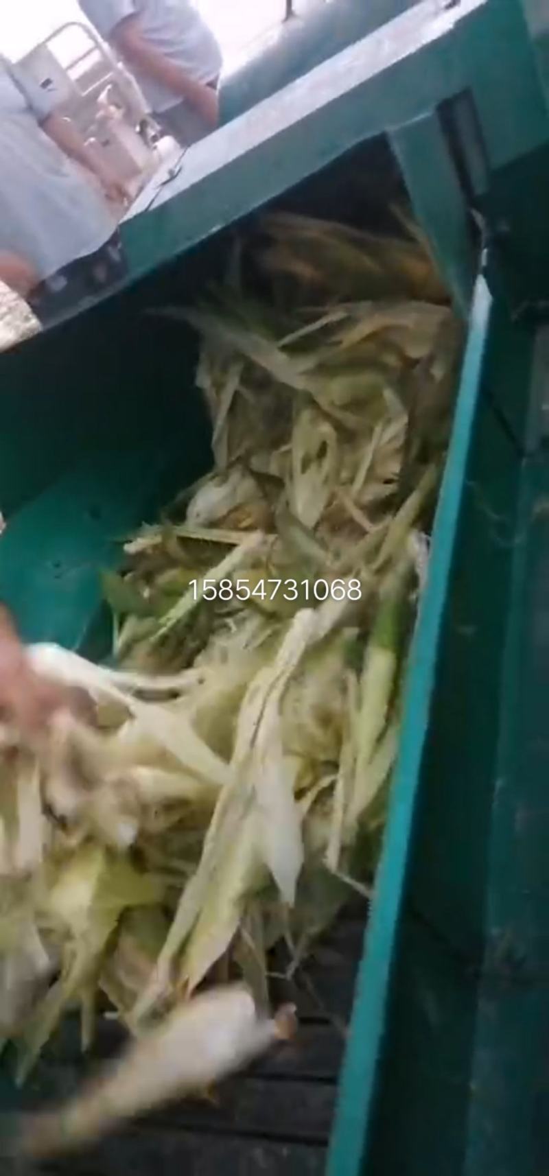 玉米秸秆揉丝机羊饲料揉丝机干湿两用揉丝机