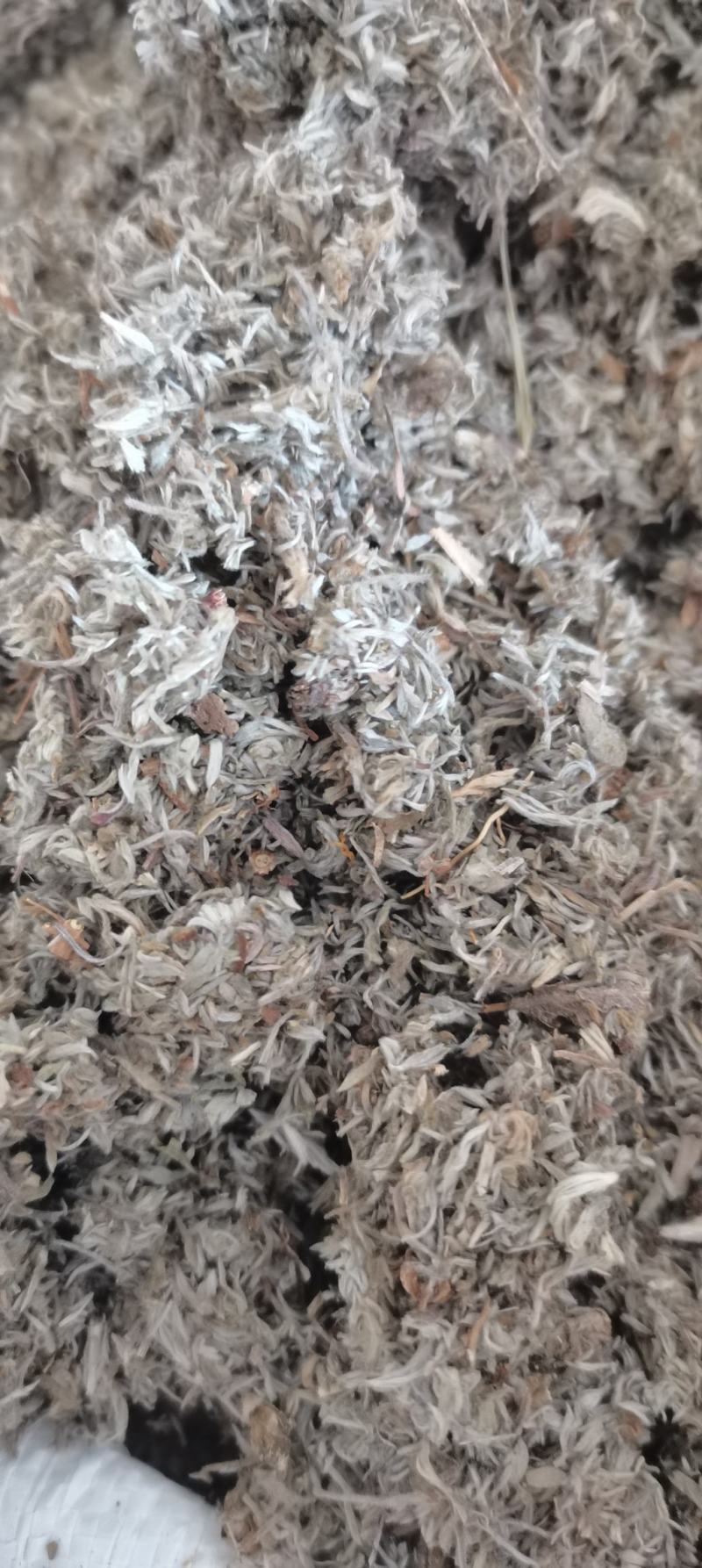 茵陈茵陈棉茵陈干货各种中药材