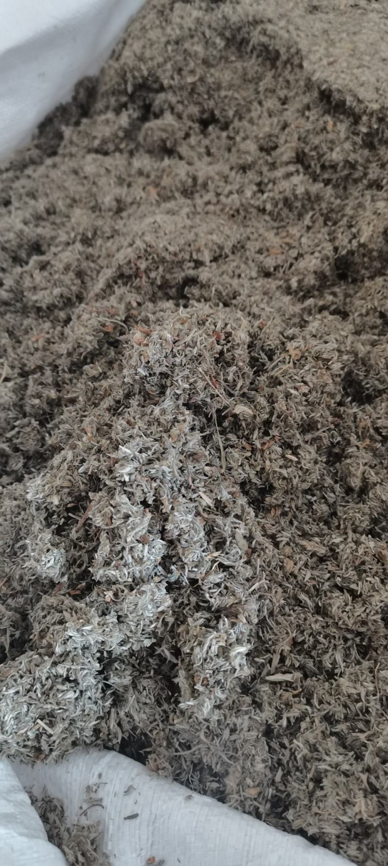 茵陈茵陈棉茵陈干货各种中药材