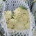 白面，青梗，松花菜。我们开封这边是蔬菜基地。5000万亩