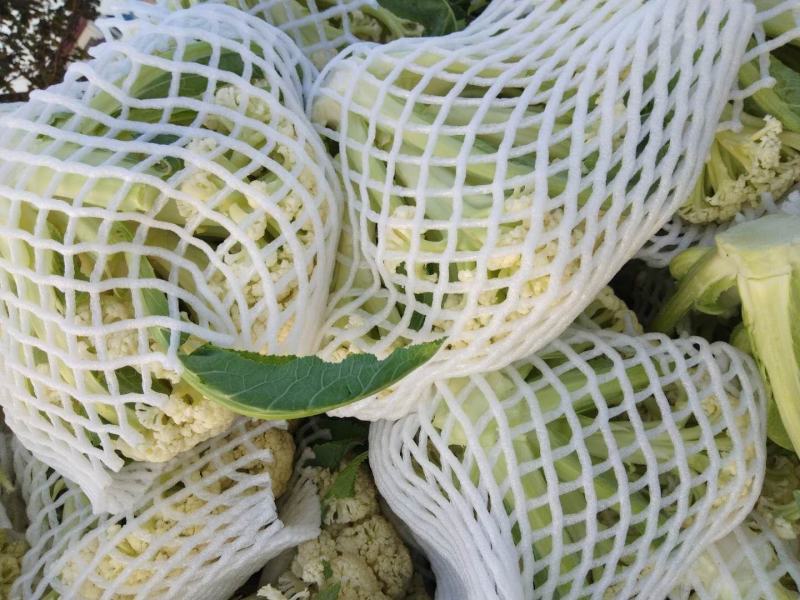 白面，青梗，松花菜。我们开封这边是蔬菜基地。5000万亩