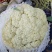 白面，青梗，松花菜。我们开封这边是蔬菜基地。5000万亩