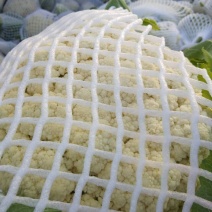白面，青梗，松花菜。我们开封这边是蔬菜基地。5000万亩