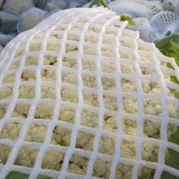 白面，青梗，松花菜。我们开封这边是蔬菜基地。5000万亩