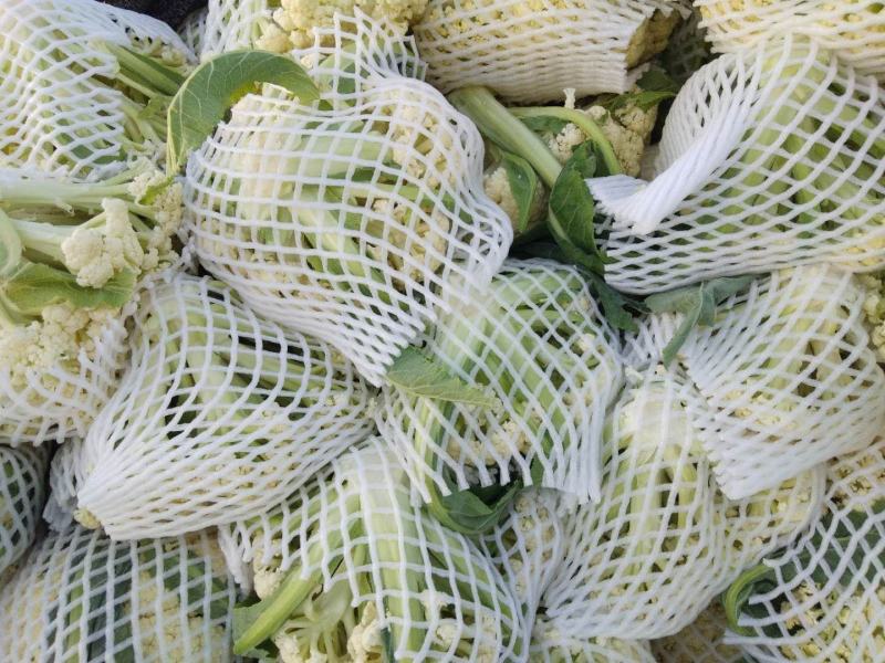 白面，青梗，松花菜。我们开封这边是蔬菜基地。5000万亩