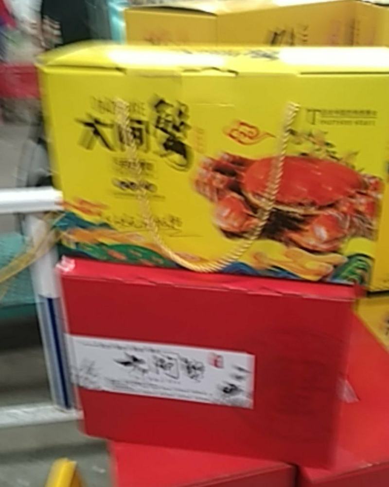 中华毛蟹中秋装产地直销