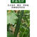 棱角大肉丝瓜种子水瓜阳台菜园盆栽庭院有机蔬菜种子四季秋季
