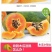 海南水果树上熟夏威夷冰糖红心牛奶木瓜一件代发