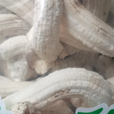 葵髓向日葵葵髓向日葵心芯各种中药材