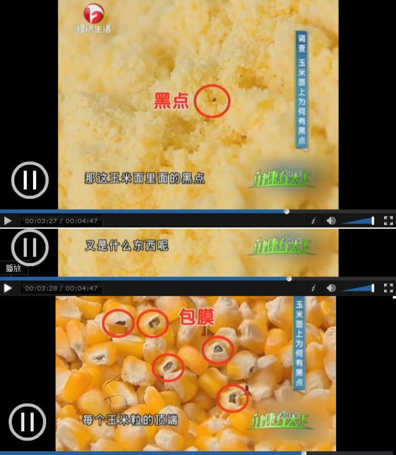 玉米面东北新粮纯玉米粉苞米面发糕窝窝头玉米面粉杂粮包邮
