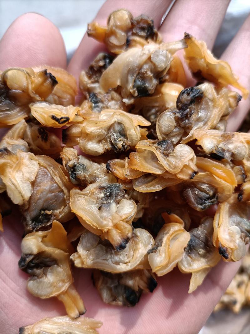 干蛤蜊肉红岛蛤蜊肉干产地直供足干蛤蜊肉