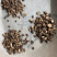 仙茅野生仙茅独脚仙茅产地直销批发各种中药材