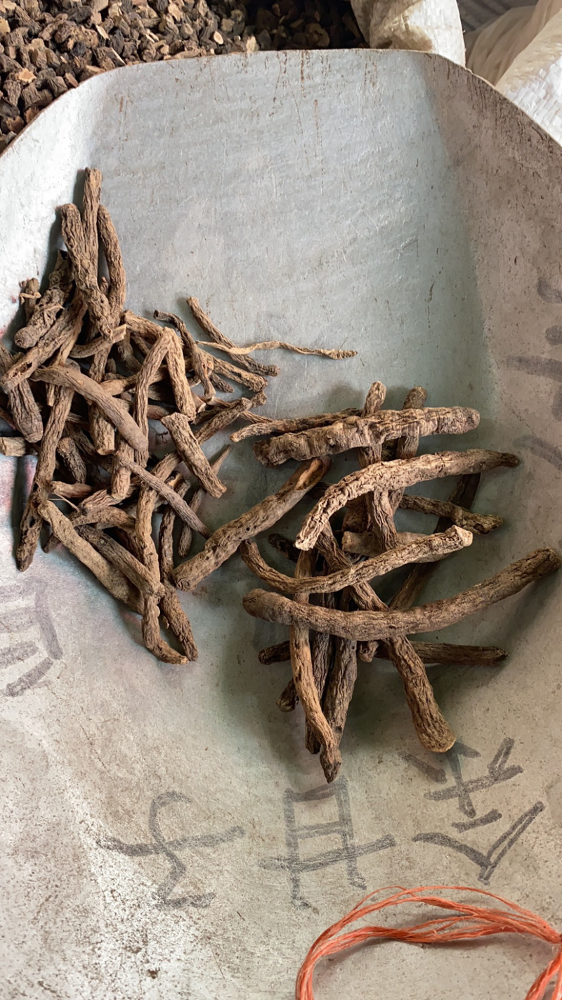 仙茅野生仙茅独脚仙茅产地直销批发各种中药材