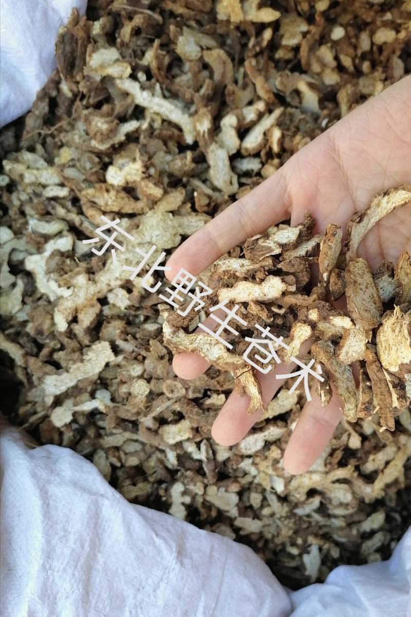 苍术东北朱砂点苍术炒苍术各种中药材批发零售各种中药材