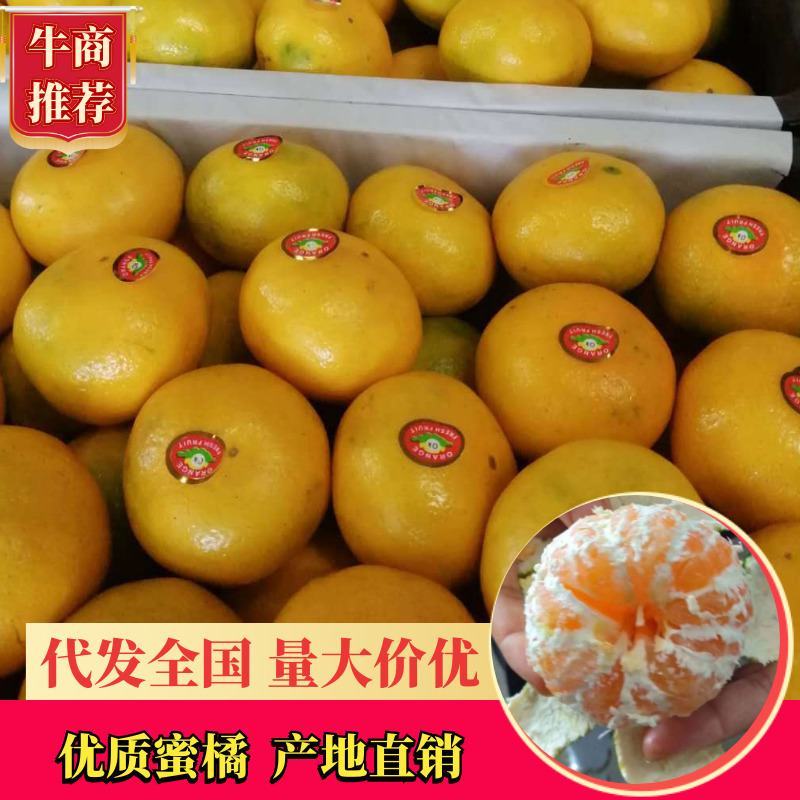 蜜橘特早蜜橘，果大皮薄，口感好，细腻无渣货源充足
