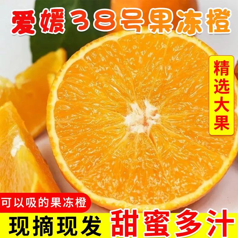四川爱媛38号果冻橙一件代发电商微商专供