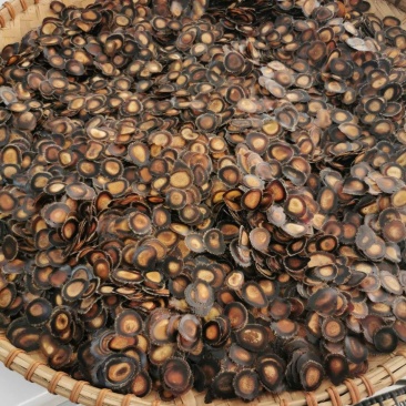 鹿茸半蜡片最顶足干可以泡水煲汤炖菜大量现货批发