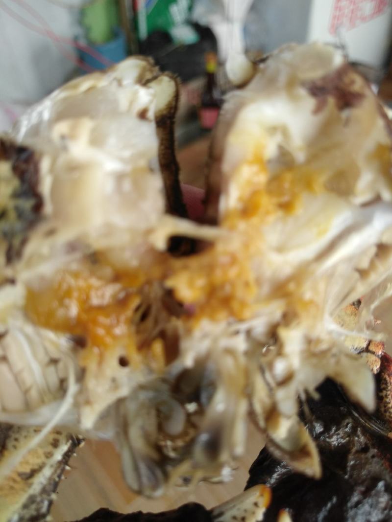 螃蟹稻田蟹好不好自己看我们有优质的货源让你买的放心吃的放