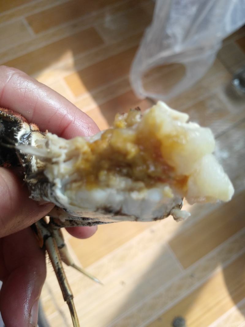 螃蟹稻田蟹好不好自己看我们有优质的货源让你买的放心吃的放