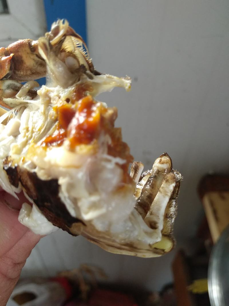 螃蟹稻田蟹好不好自己看我们有优质的货源让你买的放心吃的放