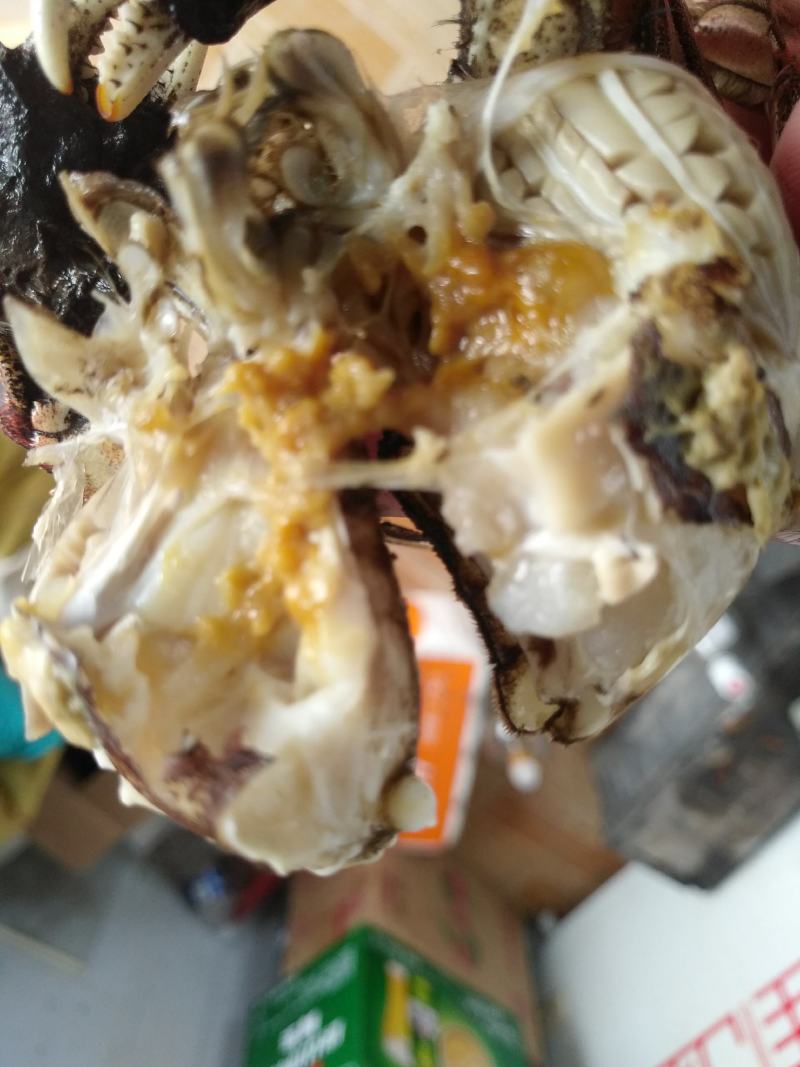 螃蟹稻田蟹好不好自己看我们有优质的货源让你买的放心吃的放