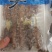即食海参精品特级海参米刺刺参辽参礼盒装全规格高口感Q弹