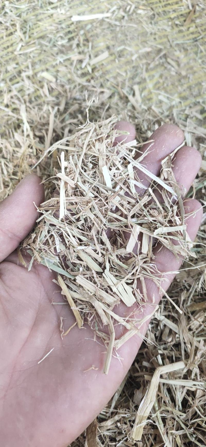 玉米芯高粱壳棉壳木屑谷壳