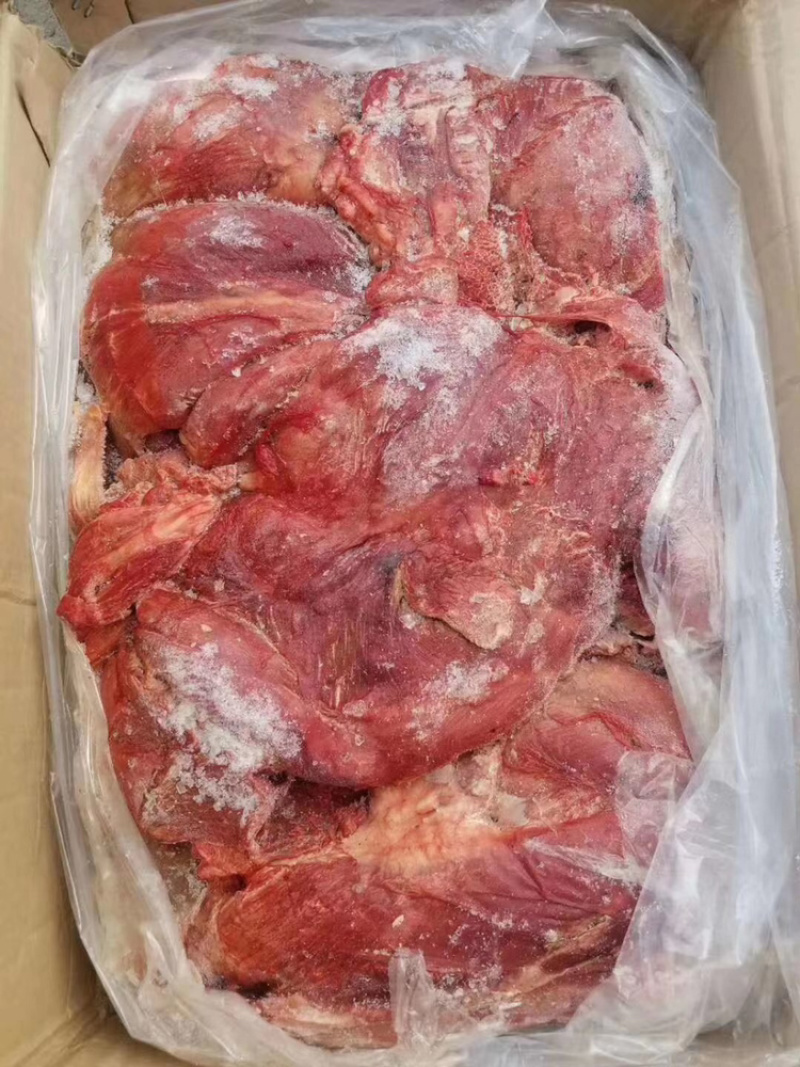 马肉，3576，明天到货，郑州提货