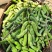 2021年新鲜狗儿豆狗爪豆龙爪豆猫豆狗古豆可批发新鲜带皮