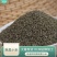 黑小米熟黑小米低温烘焙黑小米念乡源五谷磨房原料