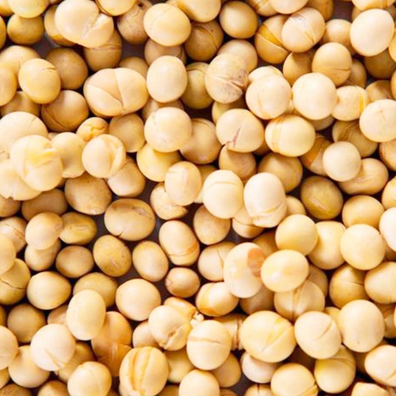 熟黄豆黄豆低温烘焙黄豆熟五谷杂粮烧烤料