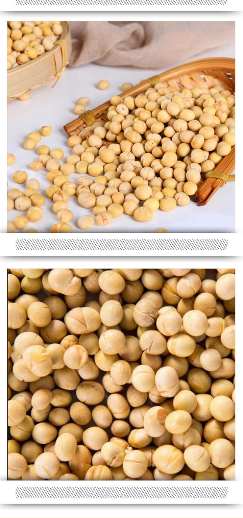 熟黄豆黄豆低温烘焙黄豆熟五谷杂粮烧烤料