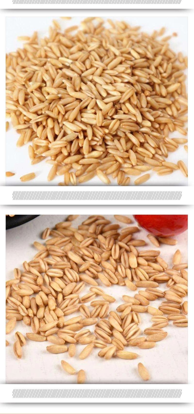燕麦米熟燕麦低温烘焙五谷杂粮原料念乡源养生磨坊