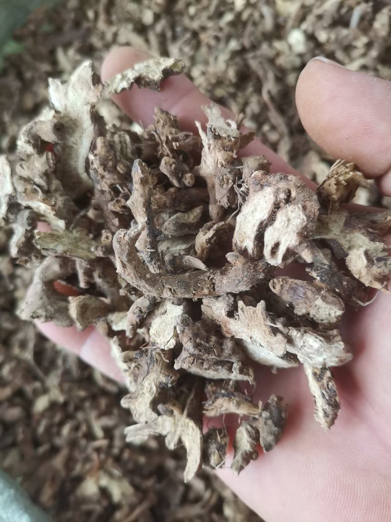 仙灵脾，淫羊藿根，淫羊藿，产地全年大货供应一件代发