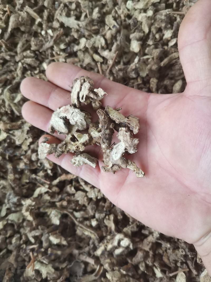 仙灵脾，淫羊藿根，淫羊藿，产地全年大货供应一件代发