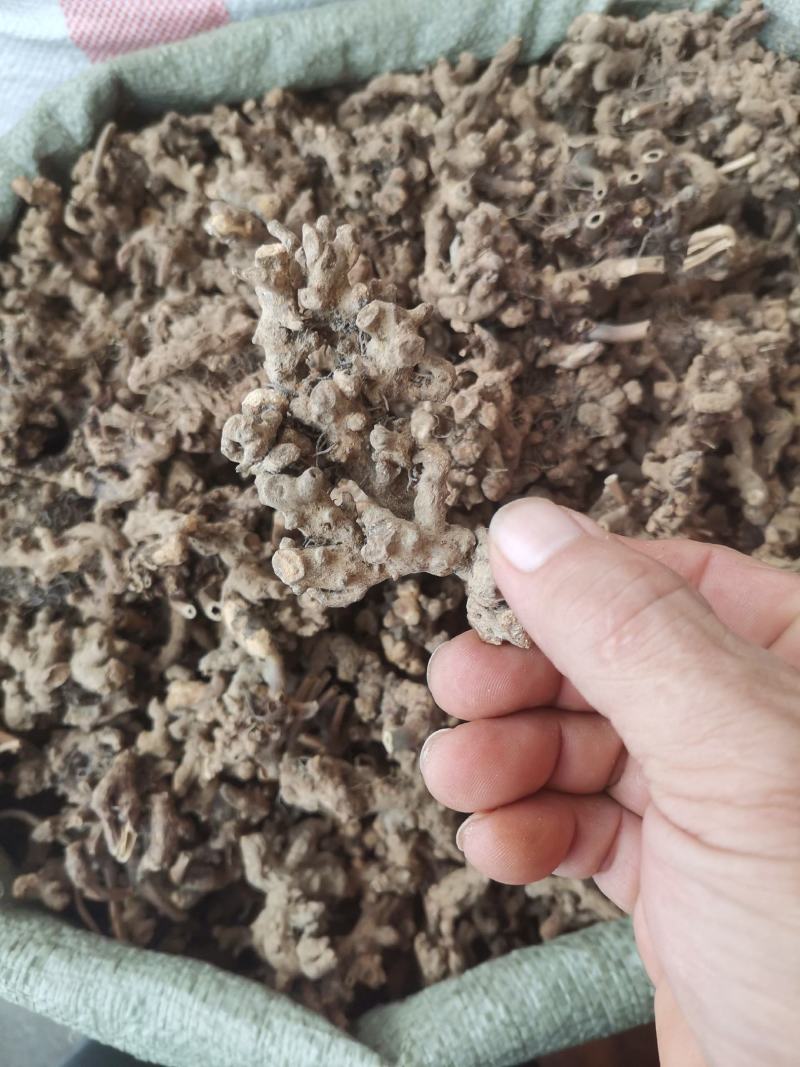 仙灵脾，淫羊藿根，淫羊藿，产地全年大货供应一件代发