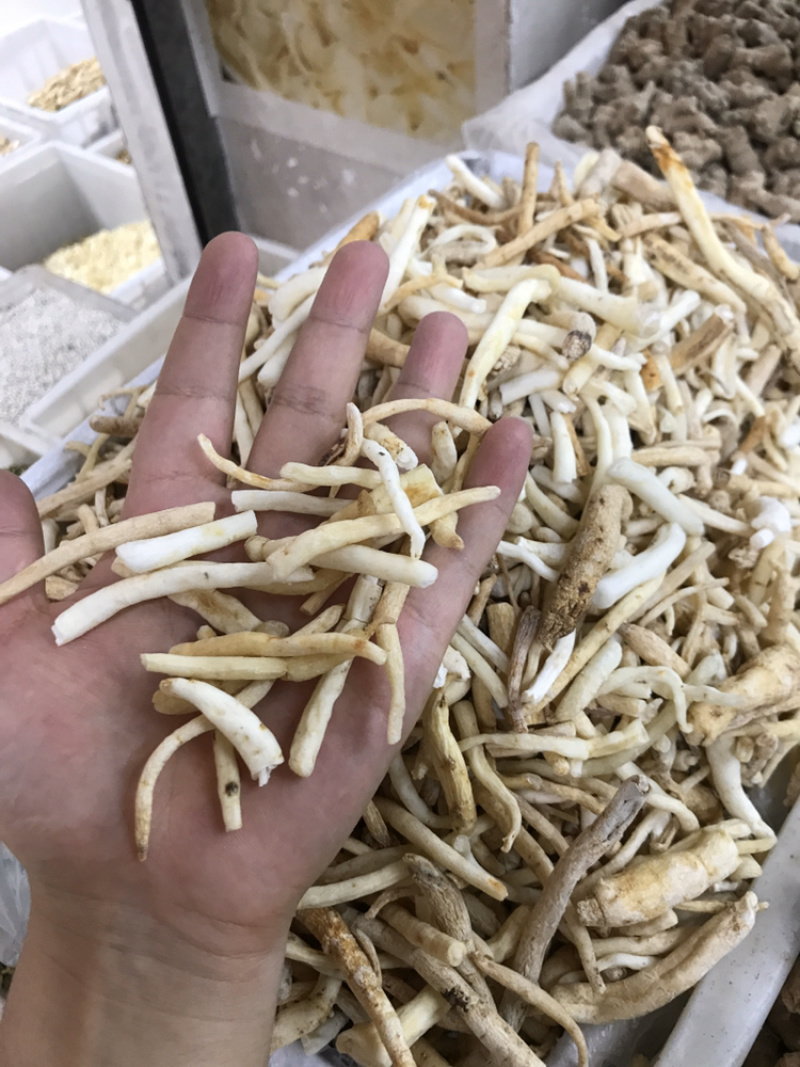 餐饮行业沙参节，金堂产地直销沙参