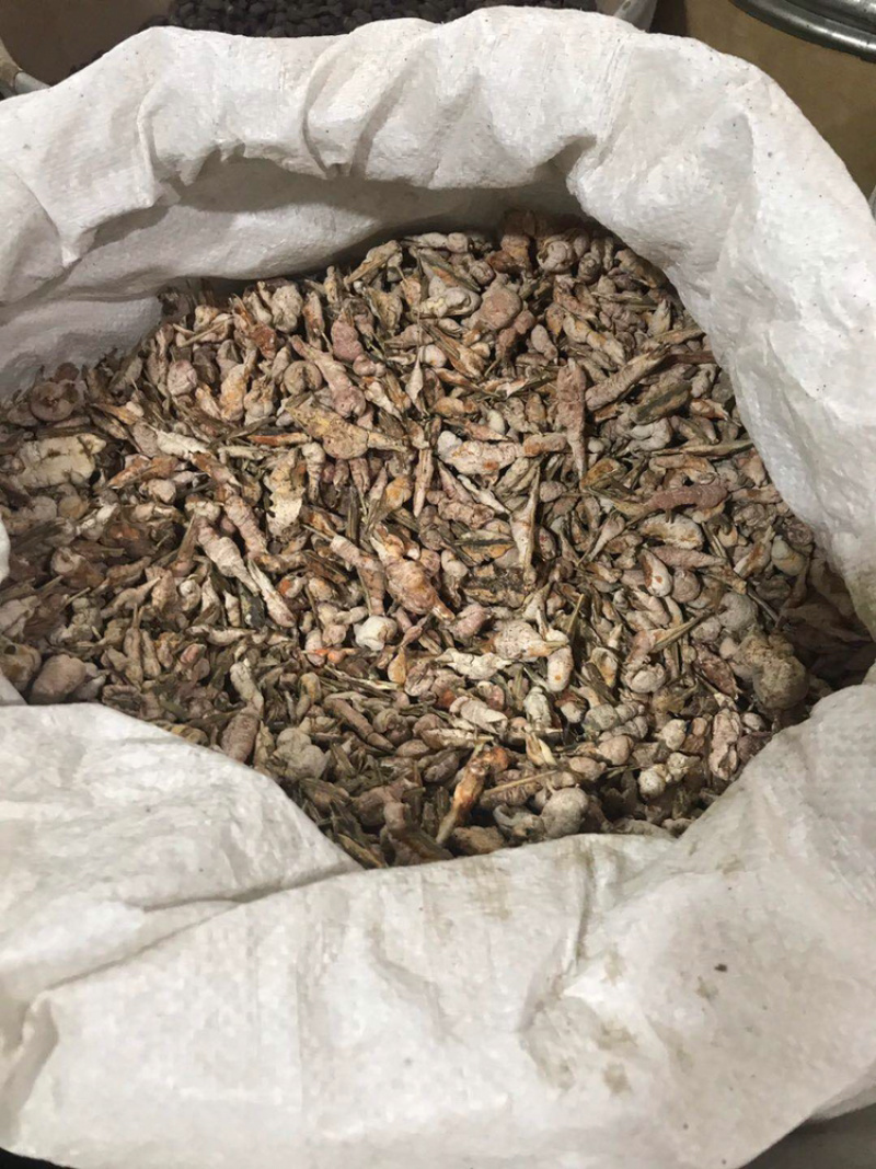 竹黄竹花竹茧保庆药业批发竹花实物拍摄！发货如图