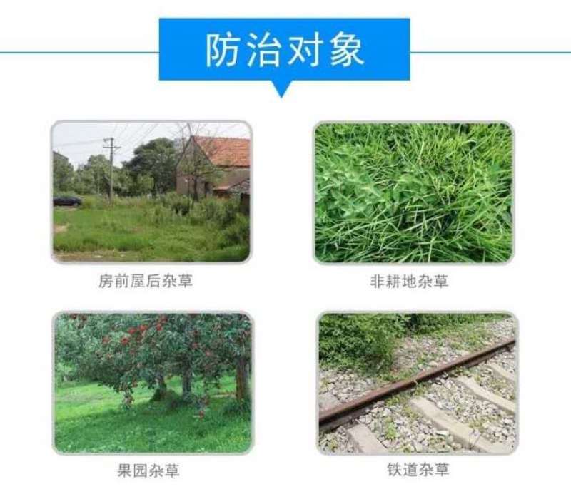 圣鹏快刀草铵膦柑橘园杀杂草除草剂果园烂根杀根葡萄园桑园