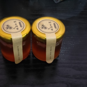 【电商直供】西双版纳野生森林蜂蜜悬崖蜜树试吃装19.9元