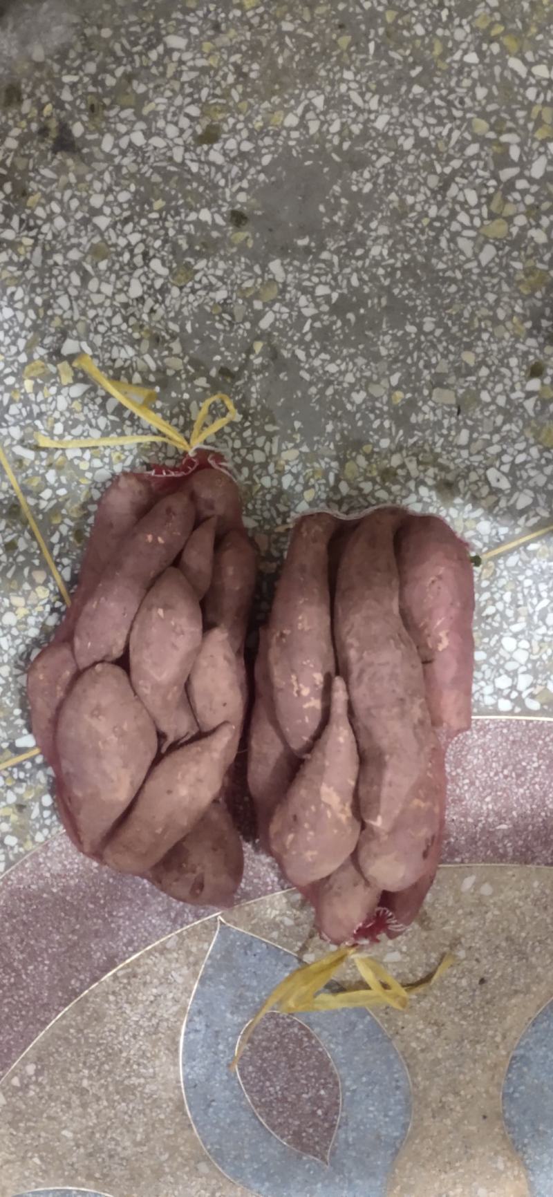 沙地红薯........