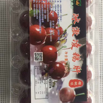 樱桃鹅肝高档酒店专用