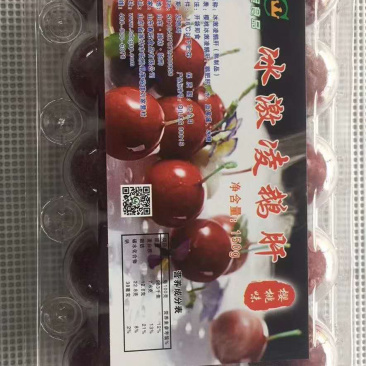 樱桃鹅肝高档酒店专用