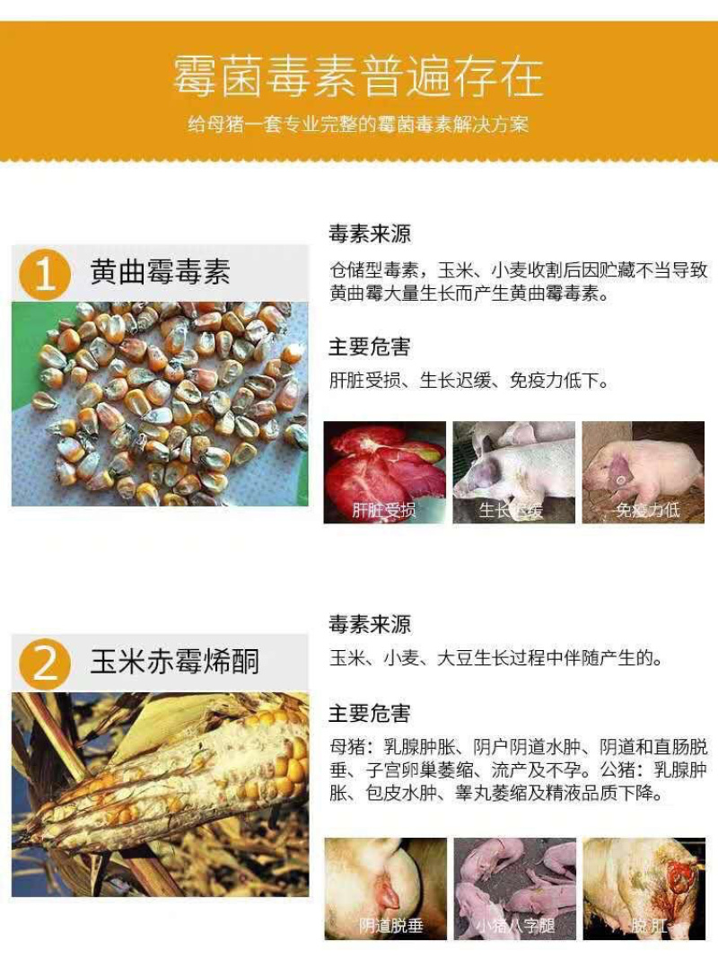 爆款脱霉剂生物脱霉不吸附营养保肝护肾修复粘膜