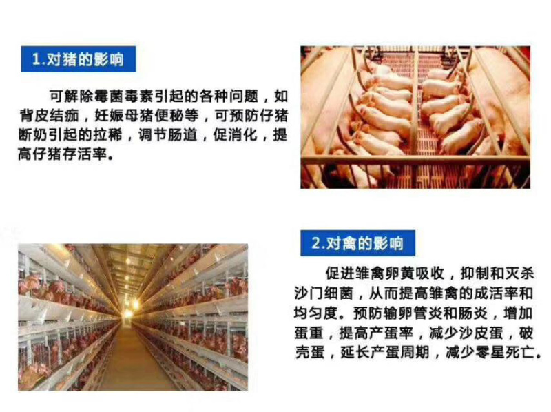 爆款脱霉剂生物脱霉不吸附营养保肝护肾修复粘膜