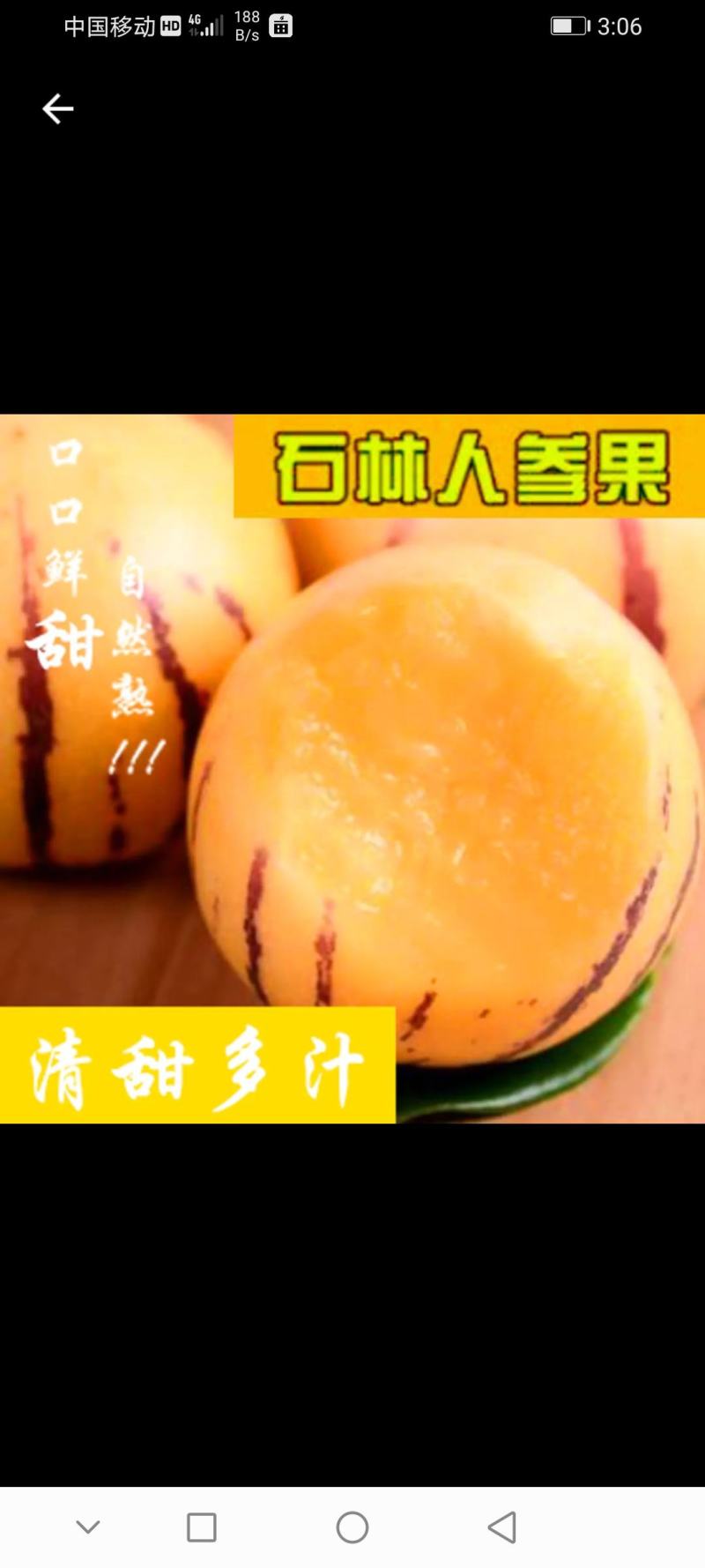 云南石林人参果，产地直发