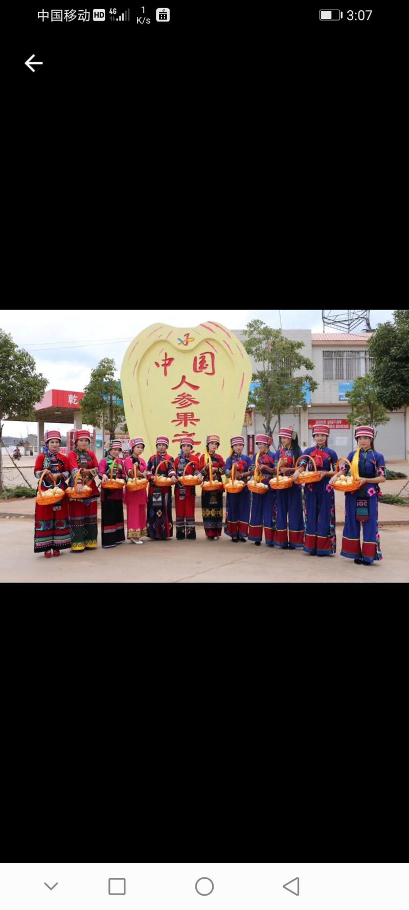 云南石林人参果，产地直发